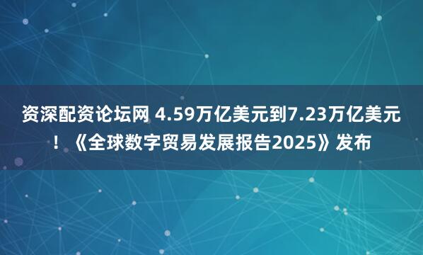 资深配资论坛网 4.59万亿美元到7.23万亿美元！《全球数字贸易发展报告2025》发布