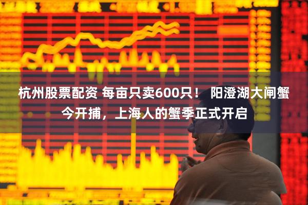 杭州股票配资 每亩只卖600只！ 阳澄湖大闸蟹今开捕，上海人的蟹季正式开启