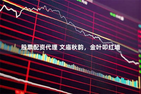 股票配资代理 文庙秋韵，金叶叩红墙