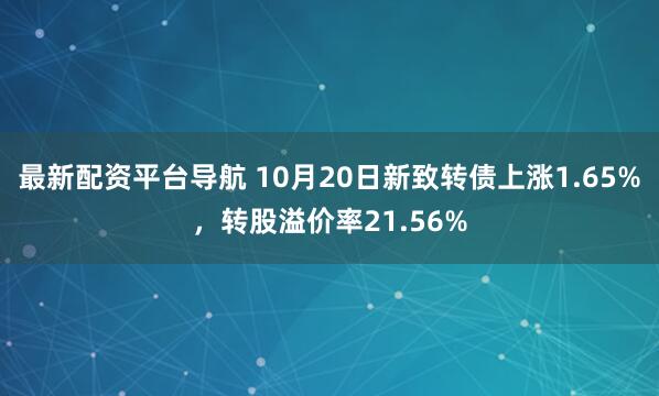 最新配资平台导航 10月20日新致转债上涨1.65%，转股溢价率21.56%