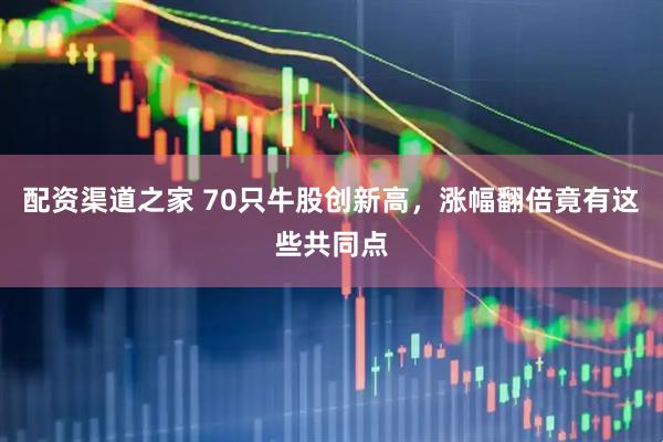 配资渠道之家 70只牛股创新高，涨幅翻倍竟有这些共同点
