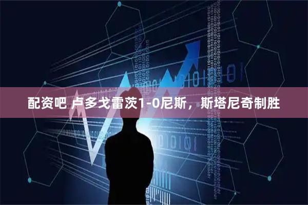 配资吧 卢多戈雷茨1-0尼斯，斯塔尼奇制胜